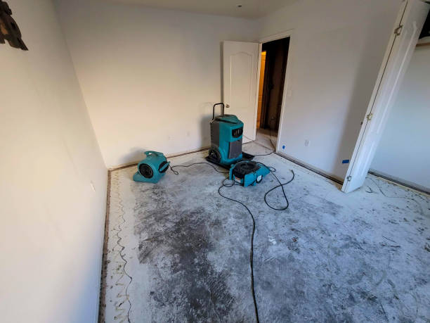 Best Emergency water damage restoration  in Wilton Manors, FL