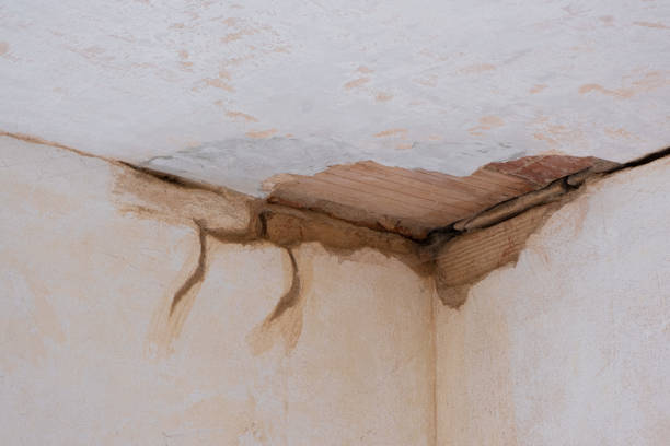 Best Flood restoration services  in Wilton Manors, FL