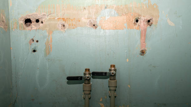  Wilton Manors, FL Water damage restoration Pros